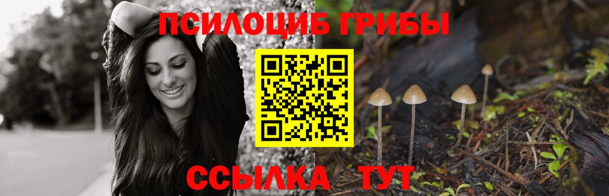 ГАШ  Россия  ГАШ  Вход с VPN  Конопля  МДМА  Меф  Меф   APVP СОЛЬ   COCAIN 